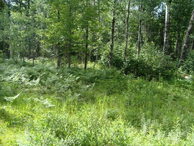 TDB Carlson Rd, Hibbing, MN 55746