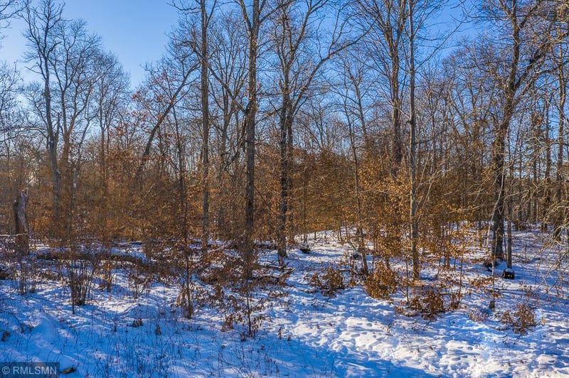 Lot 5 Whitney Ct, Lake Shore, MN 56468