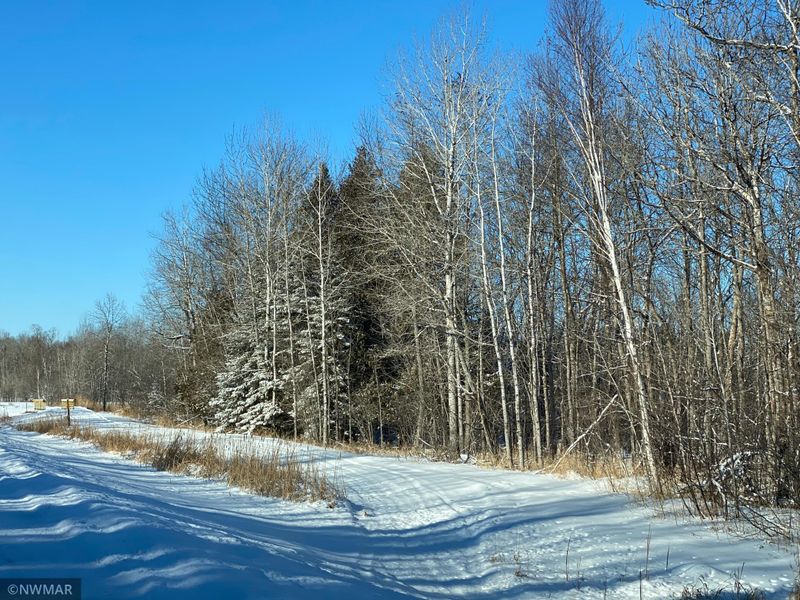 TBD Turtle River Lake Rd NE, Bemidji, MN 56601