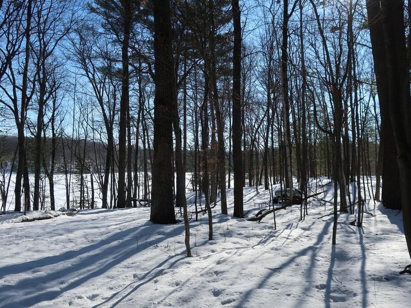 Lot 5 Goose Lake Rd, Spooner, WI 54801
