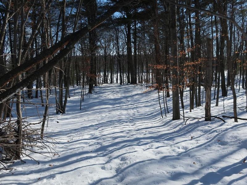 Lot 5 Goose Lake Rd, Spooner, WI 54801