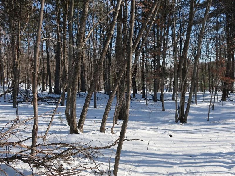 Lot 5 Goose Lake Rd, Spooner, WI 54801
