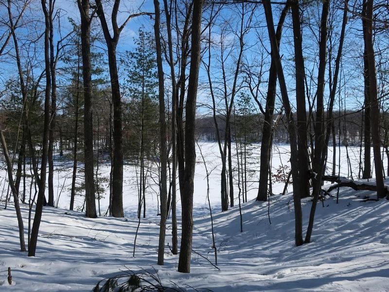 Lot 5 Goose Lake Rd, Spooner, WI 54801