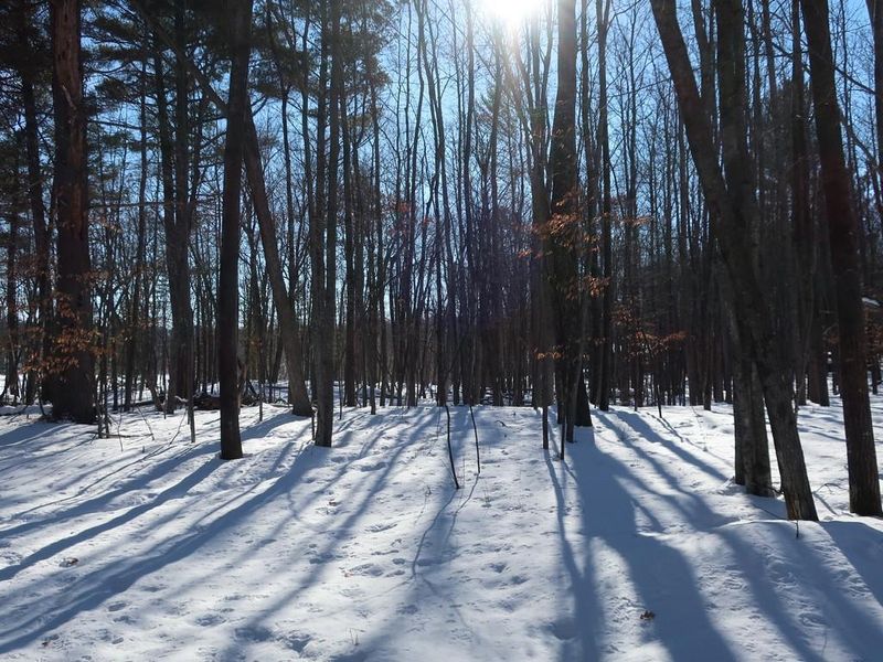 Lot 5 Goose Lake Rd, Spooner, WI 54801