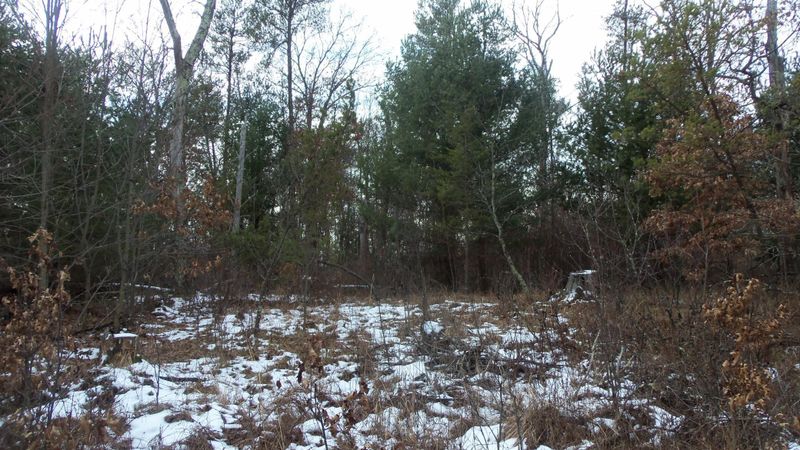 LOT 7 Sand Ridge Trl, Grantsburg, WI 54840
