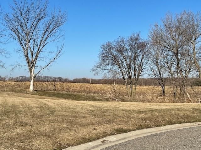 TBD N Tustin Cir, Elysian, MN 56028