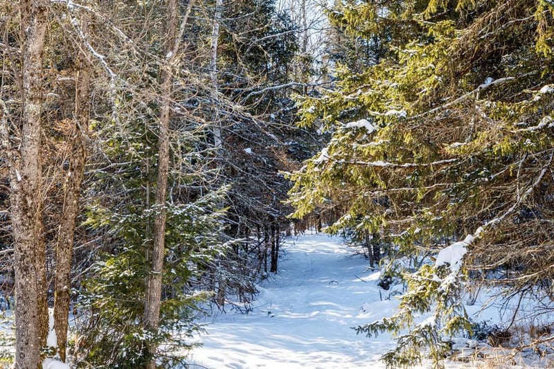 12181 S Waterbury Rd, Solon Springs, WI 54873