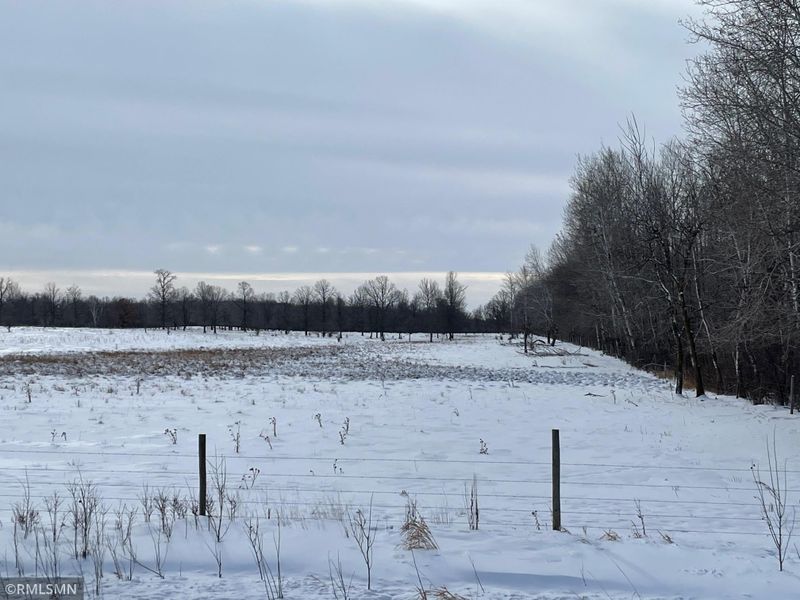82.98 acres County 24 Rd, Staples, MN 56479