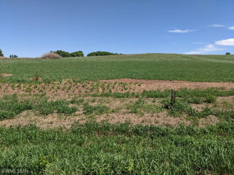 XXX 204th St, Long Prairie, MN 56347