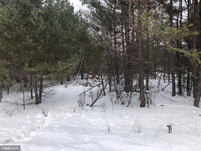 11xxx Sunrise Rd, Harris, MN 55032