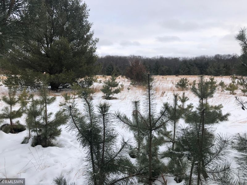11xxx Sunrise Rd, Harris, MN 55032