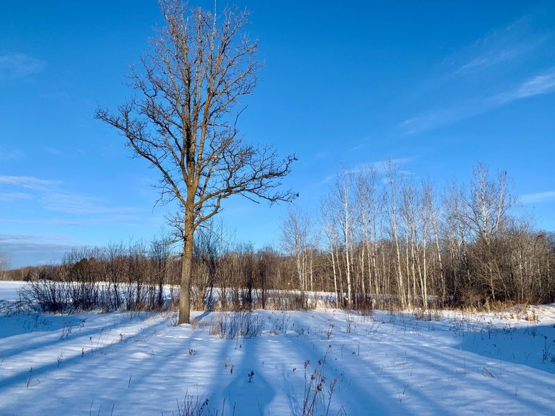 10546 Dahl Rd, Hinckley, MN 55037