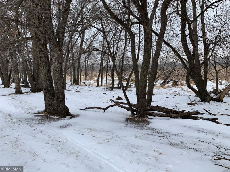TBD 40th St NE, Belgrade, MN 56312