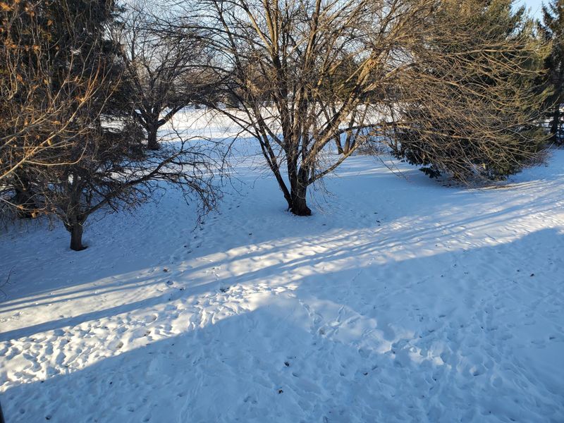 10040 32nd Ave N, Plymouth, MN 55441