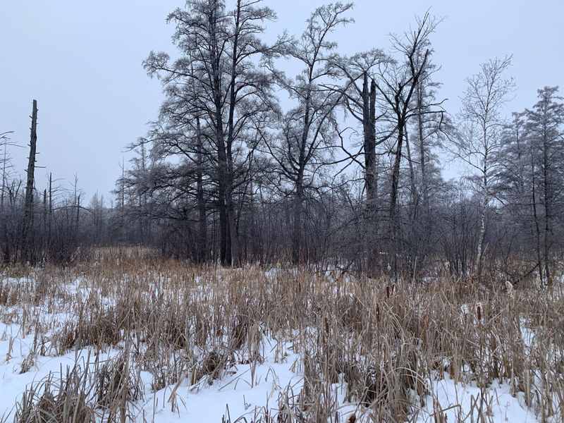 na Hwy 95, Princeton, MN 55371
