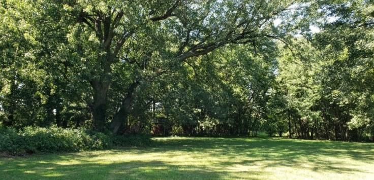 15079 County 5, Spring Valley, MN 55975