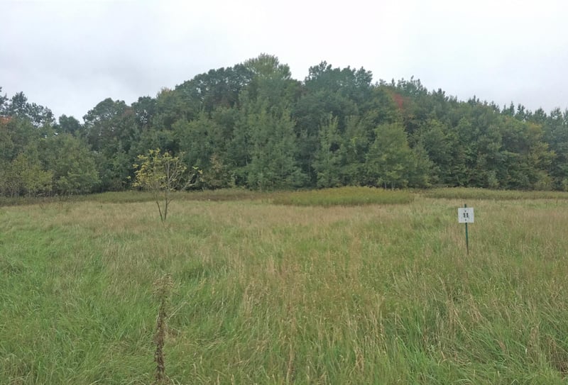 Lot 11 938th St, Elk Mound, WI 54739