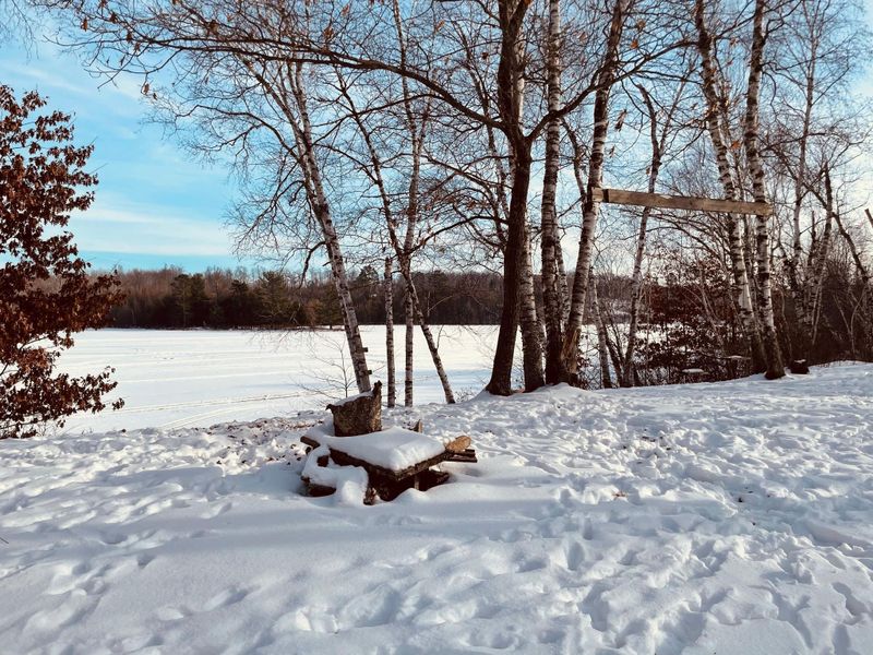 36 Pinehurst Trl NE, Fifty Lakes, MN 56662