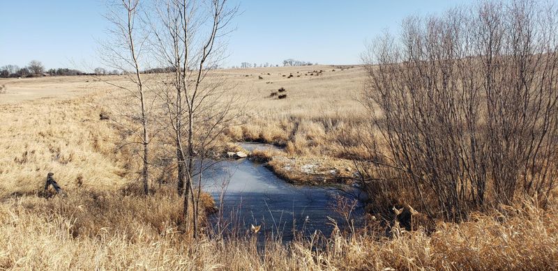 TBD Cty 2, Chatfield, MN 55923