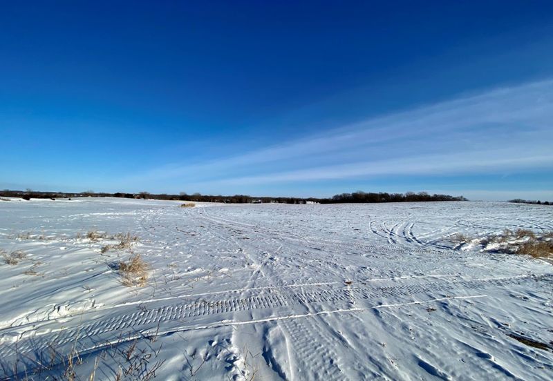 xx 15th St NW, Willmar, MN 56201