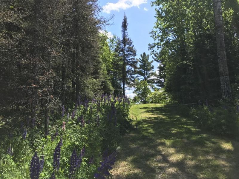 TBD Pine Rd, Ely, MN 55731
