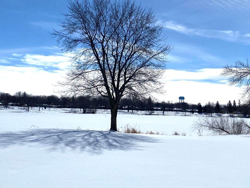 806 15th St NE, Austin, MN 55912