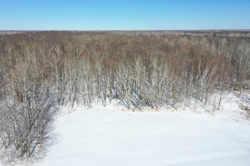 xxx 96th St NE, Boy River, MN 56672