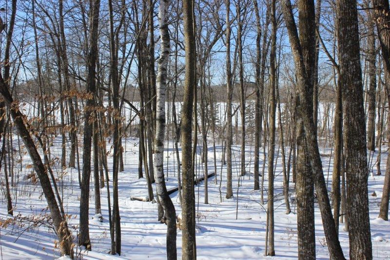34622 E Boot Lake Rd, Park Rapids, MN 56470