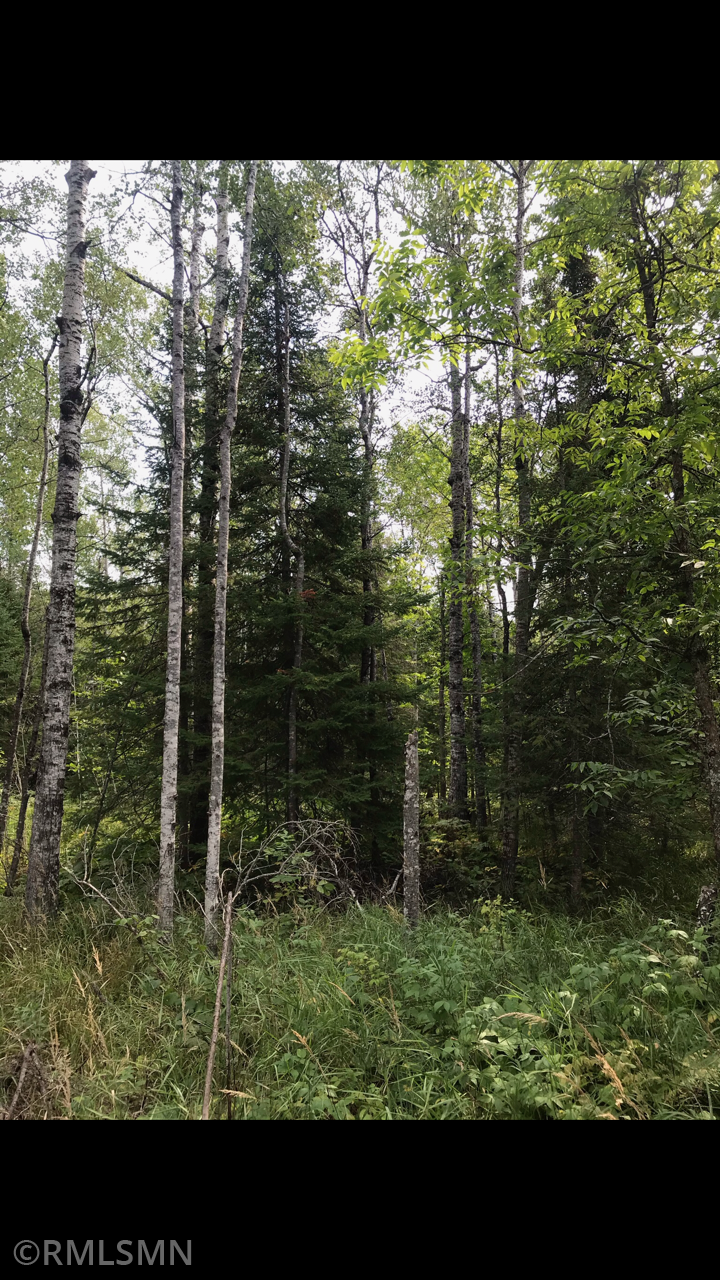 xx Severson Rd, Port Wing, WI 54865