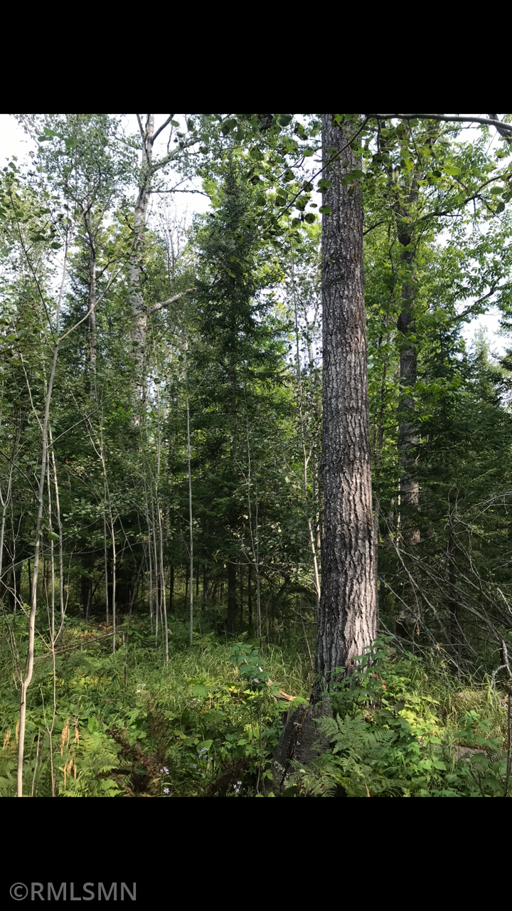 xx Severson Rd, Port Wing, WI 54865
