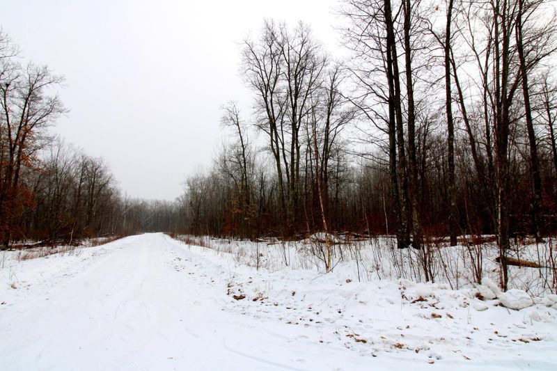 Lot 1 - 4 Mystic Cir, Pequot Lakes, MN 56472