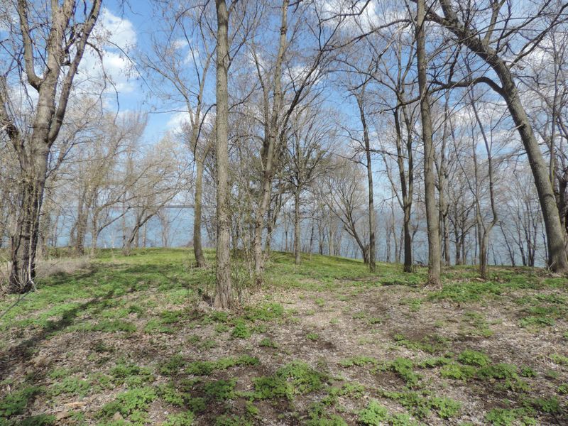 TBD Tract B Pine Point Drive Nw, Walker, MN 56484