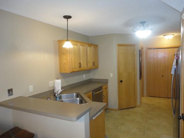 15547 Sodium Way NW, Ramsey, MN 55303