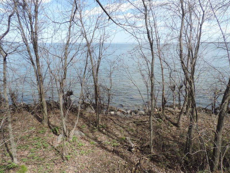 TBD tract C Pine Point Drive Nw, Walker, MN 56484