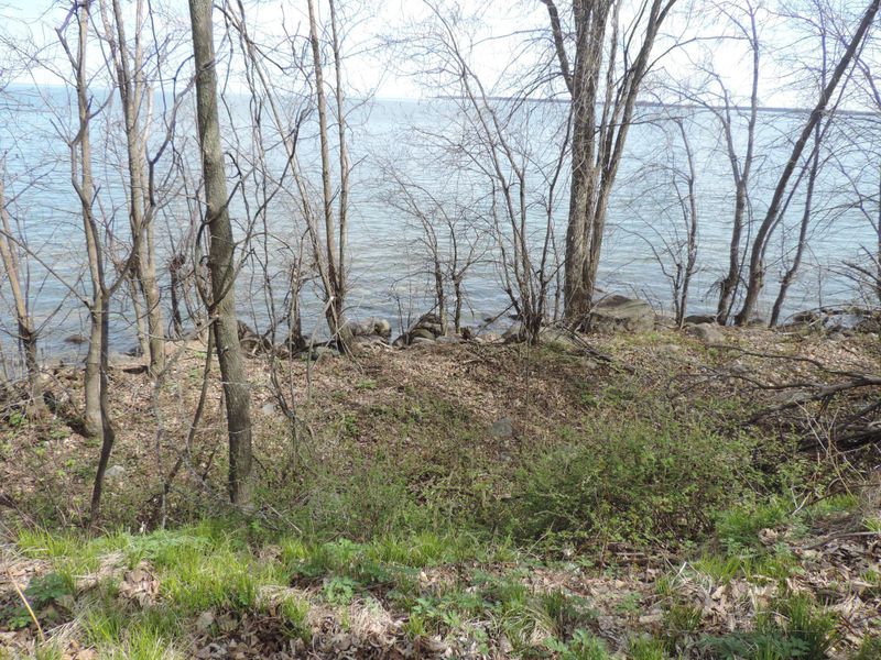 TBD tract C Pine Point Drive Nw, Walker, MN 56484