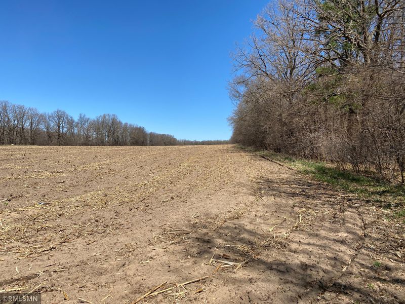 42850 County 21, Staples, MN 56479