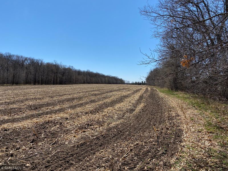42850 County 21, Staples, MN 56479