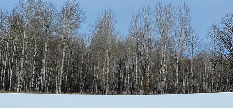 XX 250th Ave, Brook Park, MN 55007