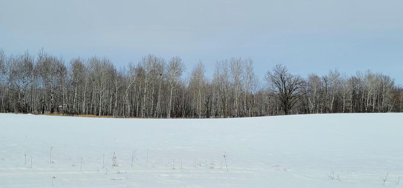 XX 250th Ave, Brook Park, MN 55007