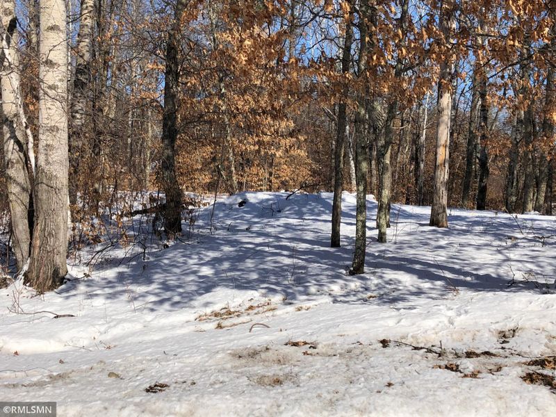 Lot 1 Mayo Hills Rd, Pequot Lakes, MN 56472
