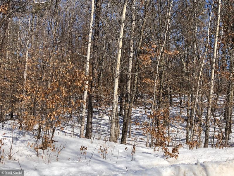 Lot 1 Mayo Hills Rd, Pequot Lakes, MN 56472