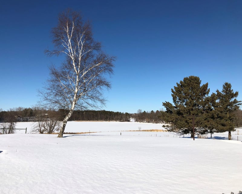 2353 260th Ave, Cushing, WI 54006