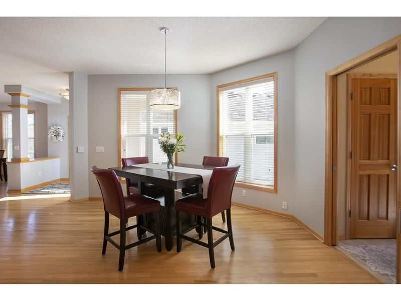 18668 Farmstead Cir, Eden Prairie, MN 55347