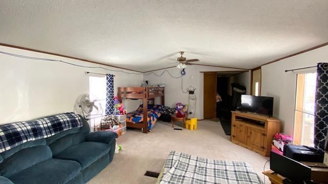 9247 Spangberg Rd, Webster, WI 54893