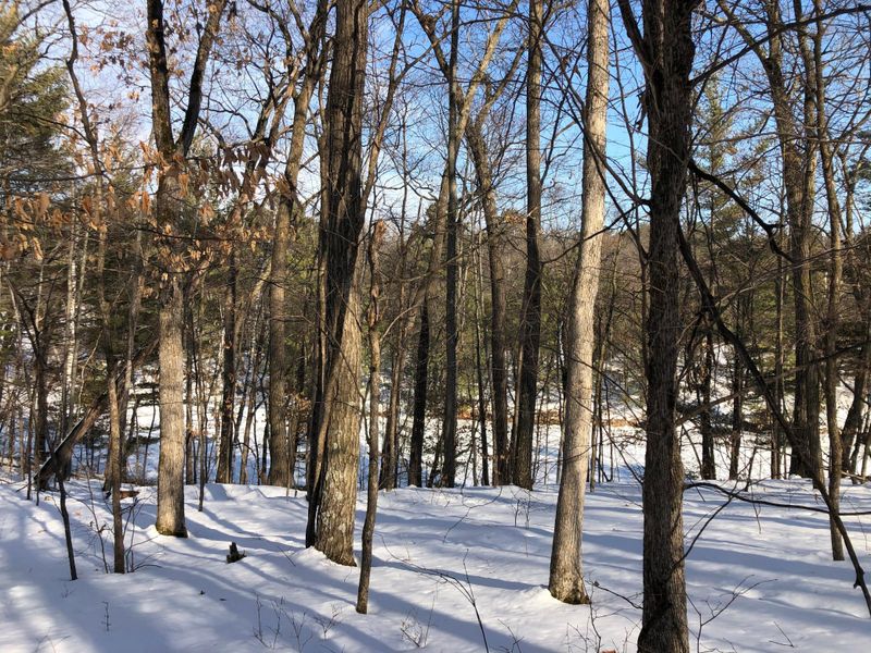 Lot 6 103rd, Frederic, WI 54837