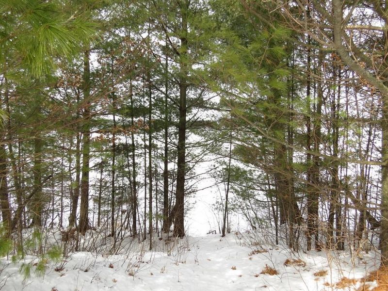24383 Cranberry Marsh Rd, Webster, WI 54893
