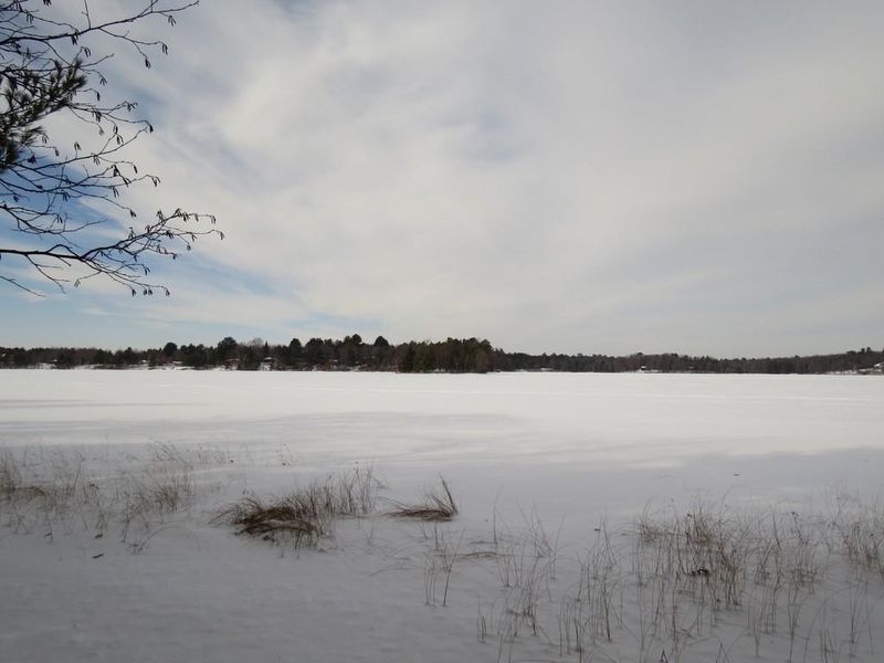 24383 Cranberry Marsh Rd, Webster, WI 54893
