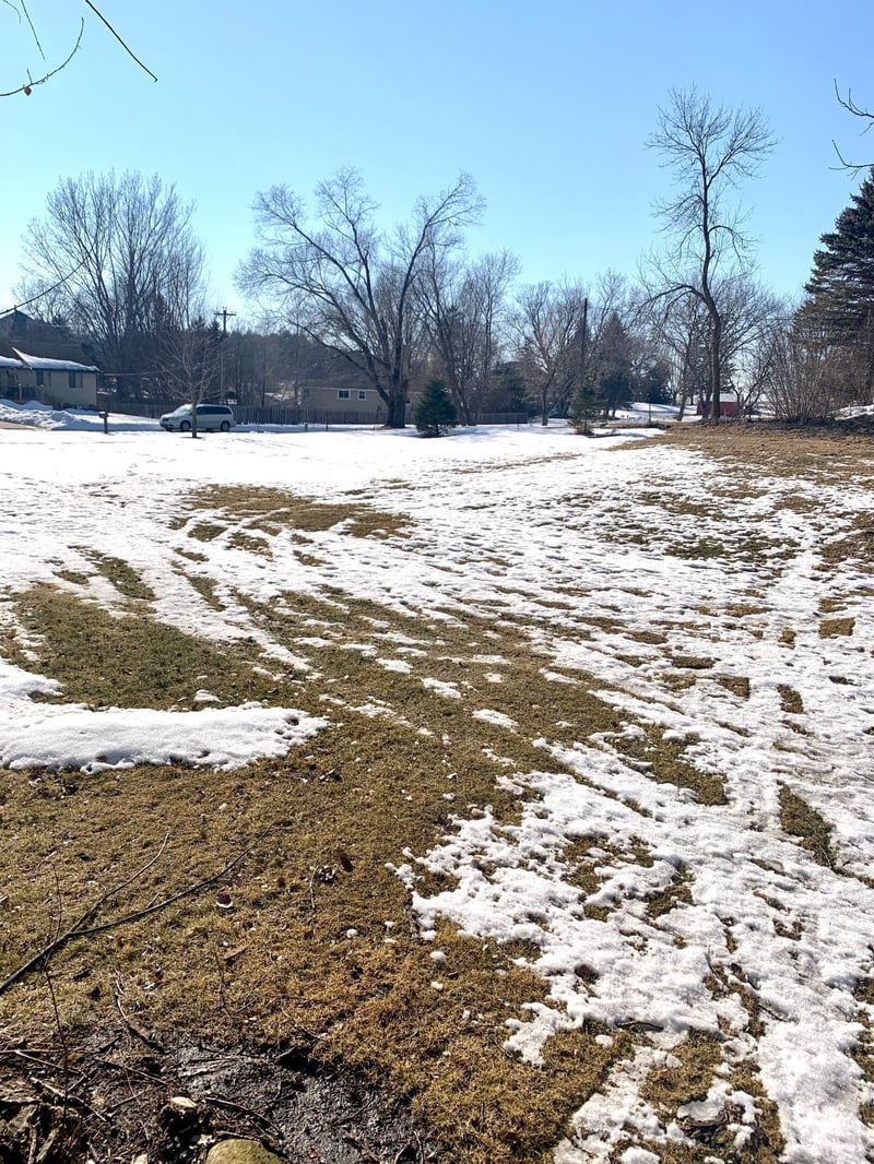 XXXX Mill St, Dundas, MN 55019