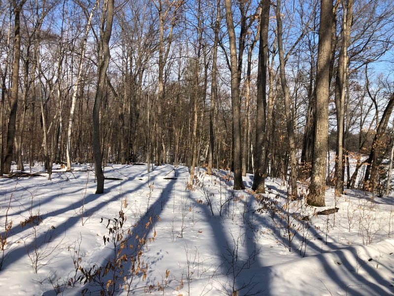 Lot 7 103rd, Frederic, WI 54837