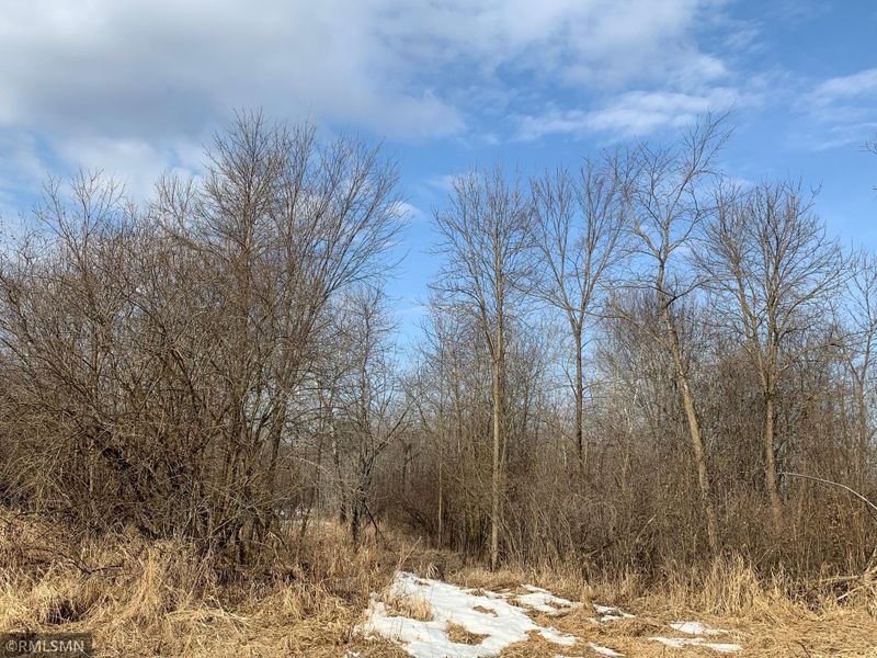 xxx 240th St, Randall, MN 56475